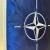 Propoczyk NATO haftowany.jpg