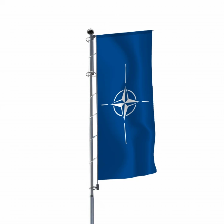 pionowa NATO.jpg