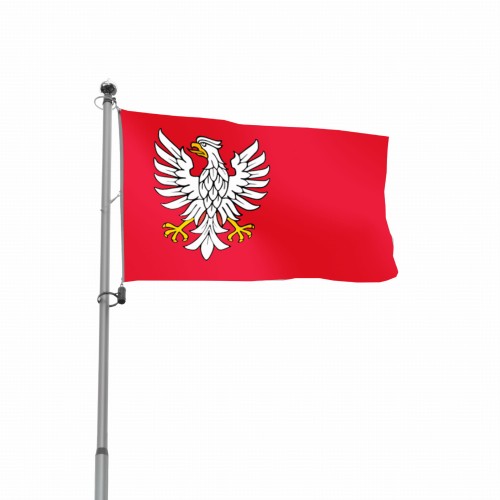 pozioma Urząd M.jpg