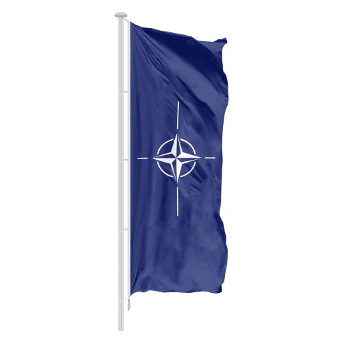 flaga NATO w pionie