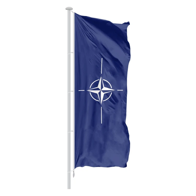 flaga NATO w pionie