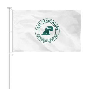 Flaga Lasy Państwowe 
