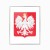 Polska godło_40x50 cm srebrna ramka