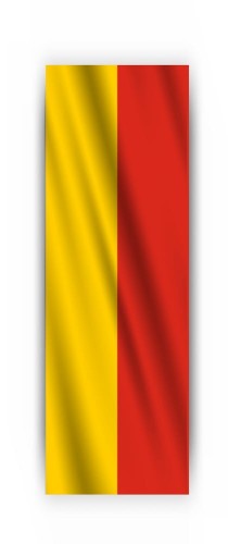 Flaga_PION_Warszawa.jpg