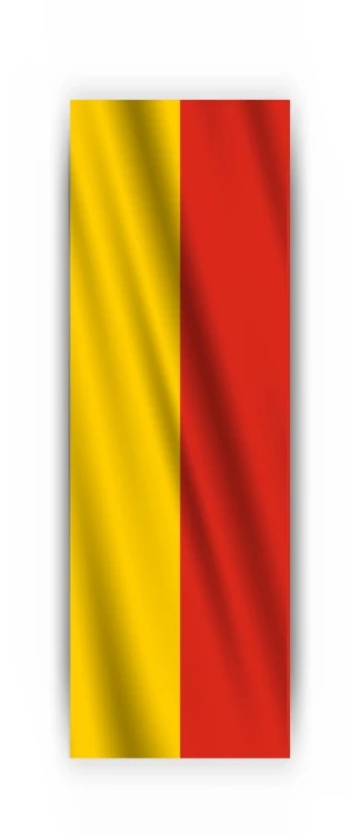 Flaga_PION_Warszawa.jpg