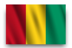 Flaga narodowa Gwinea