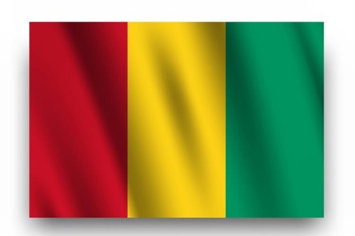flaga-narodowa-Gwinea.jpg